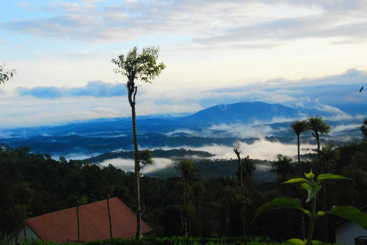 Отель Tea Terrace Vythiri Ваянад Экстерьер фото