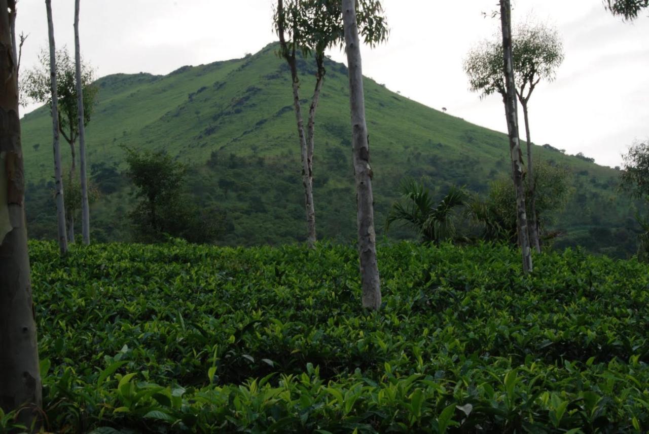 Отель Tea Terrace Vythiri Ваянад Экстерьер фото