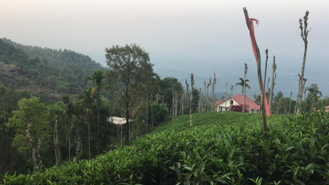 Отель Tea Terrace Vythiri Ваянад Экстерьер фото