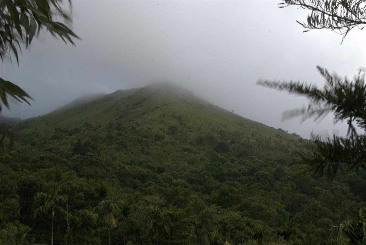 Отель Tea Terrace Vythiri Ваянад Экстерьер фото