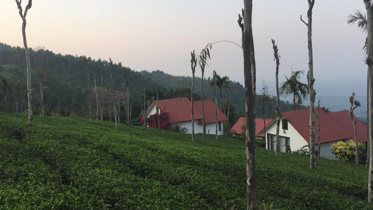 Отель Tea Terrace Vythiri Ваянад Экстерьер фото