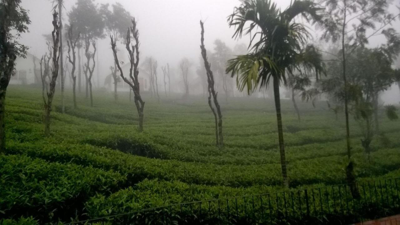 Отель Tea Terrace Vythiri Ваянад Экстерьер фото