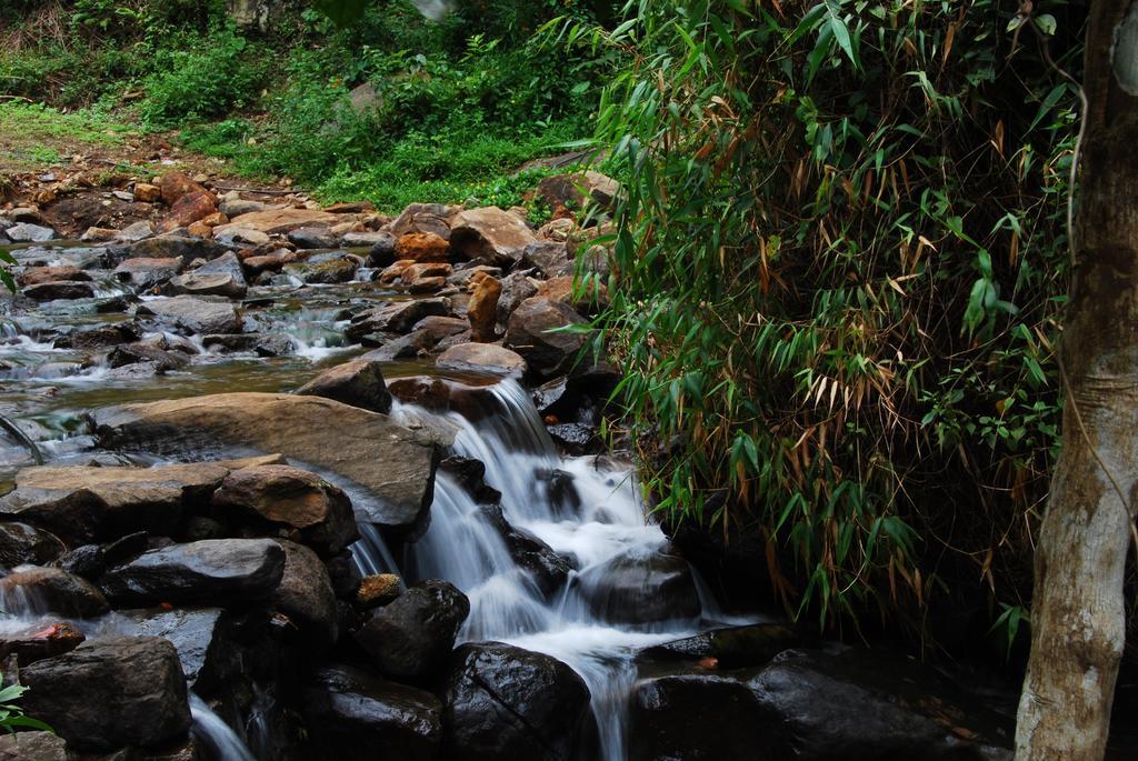 Отель Tea Terrace Vythiri Ваянад Экстерьер фото